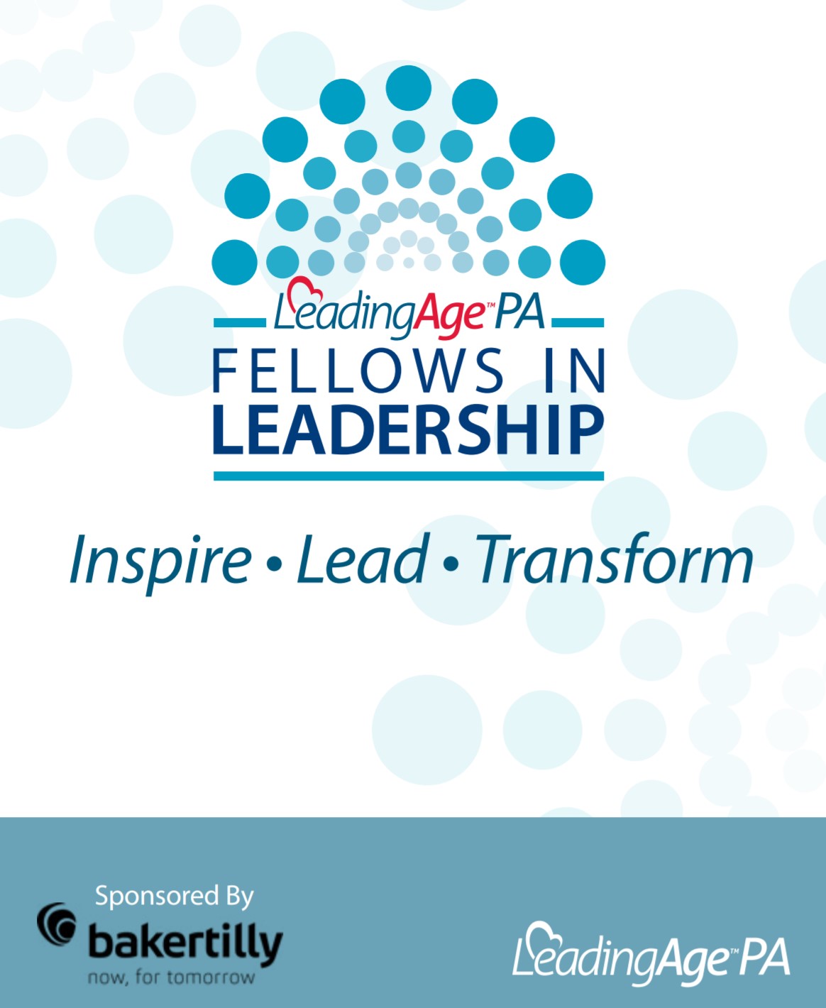 Cover of Fellows in Leadership brochure and application image