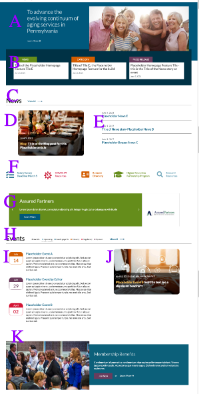 Homepage-training